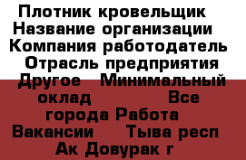 Плотник-кровельщик › Название организации ­ Компания-работодатель › Отрасль предприятия ­ Другое › Минимальный оклад ­ 30 000 - Все города Работа » Вакансии   . Тыва респ.,Ак-Довурак г.